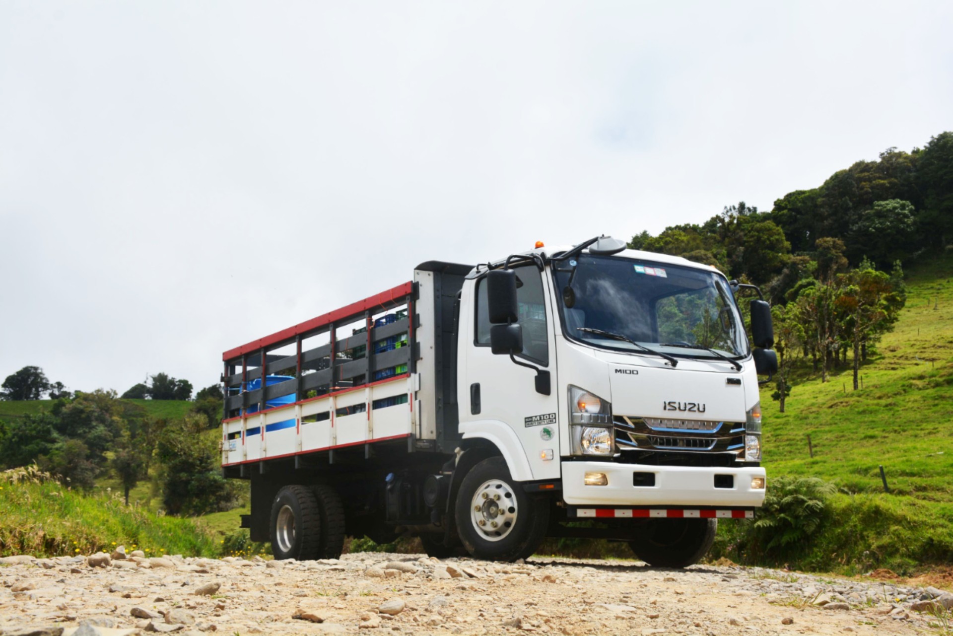 Miniatura 7